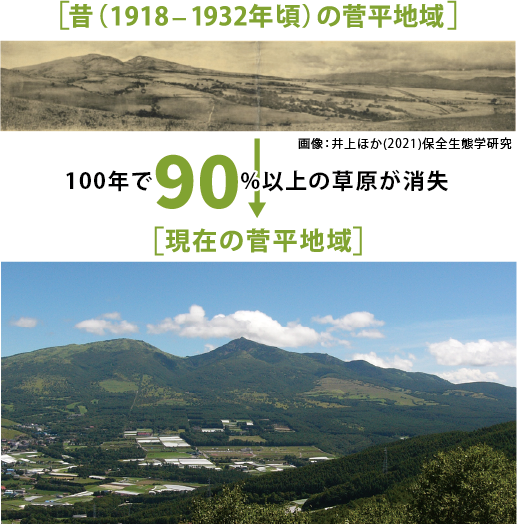 現在と100年前の菅平の草原の変化