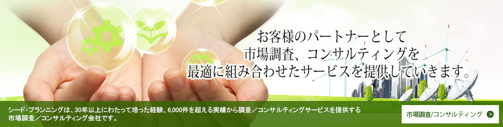 市場調査とコンサルティングのシード プランニング